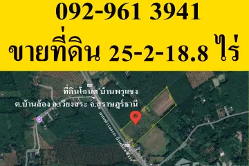 Land for sale in Ban Song, Surat Thani