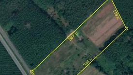 Land for sale in Ban Song, Surat Thani