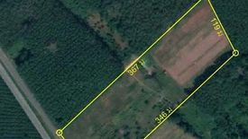 Land for sale in Ban Song, Surat Thani