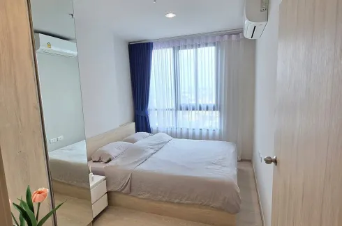 1 Bedroom Condo for rent in Nue Noble Ngamwongwan, Bang Khen, Nonthaburi