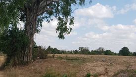 Land for sale in Samnak Thon, Rayong