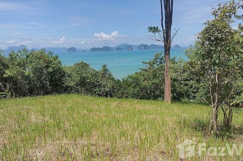 Land for sale in Ko Yao Noi, Phang Nga