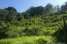 Land for sale in Pa Khlok, Phuket