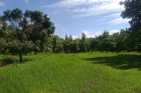 Land for sale in Ban Sahakon, Chiang Mai