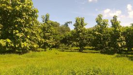 Land for sale in Ban Sahakon, Chiang Mai