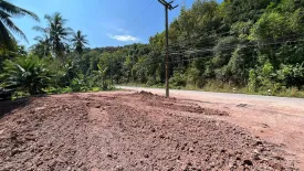 Land for sale in Bang Nam Chuet, Chumphon