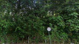 Land for sale in Thep Krasatti, Phuket