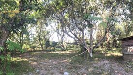 Land for sale in Pa Phai, Chiang Mai