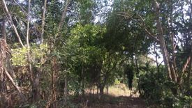 Land for sale in Pa Phai, Chiang Mai