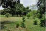 Land for sale in Pa Tan, Chiang Mai