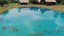 Land for sale in Nai Mueang, Chaiyaphum