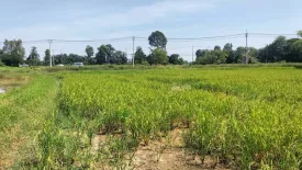 Land for sale in Ban Phai, Khon Kaen