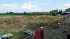 Land for sale in Bang Na, Bangkok