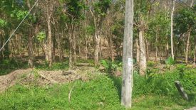 Land for sale in Chalong, Phuket