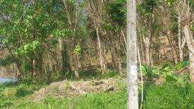 Land for sale in Chalong, Phuket