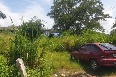 Land for sale in Chalong, Phuket