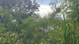 Land for sale in Chalong, Phuket