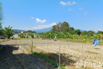 Land for sale in Nong Khwai, Chiang Mai