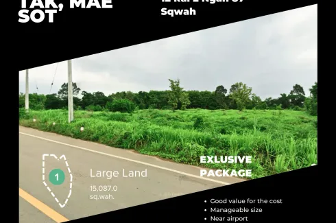 Land for sale in Tha Sai Luat, Tak