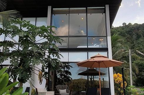 Apartment for rent in Sky Lofts Phuket, Sakhu, Phuket