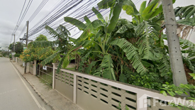 Land for sale in San Klang, Chiang Mai