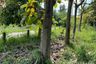 Land for sale in Mae Khue, Chiang Mai