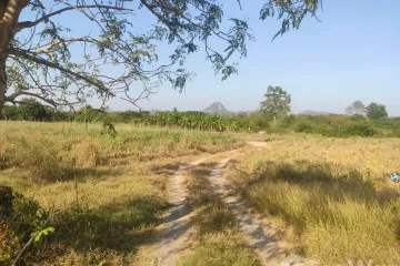 Land for sale in Wang Phong, Prachuap Khiri Khan