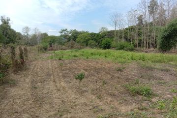 Land for sale in Mae Faek Mai, Chiang Mai