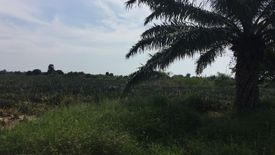 Land for sale in Bo Nok, Prachuap Khiri Khan