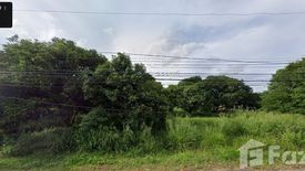 Land for sale in Klang Dong, Nakhon Ratchasima