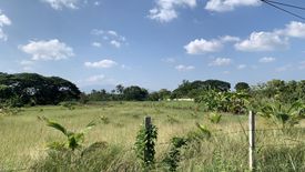 Land for sale in Chom Phu, Chiang Mai