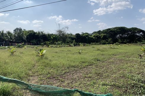 Land for sale in Chom Phu, Chiang Mai