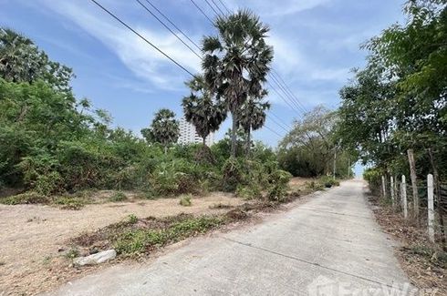 Land for sale in Bang Kao, Phetchaburi