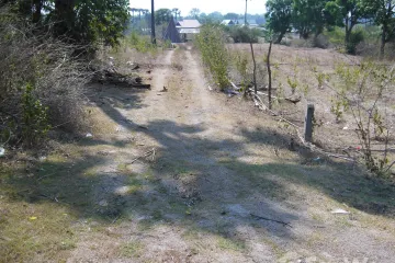 Land for sale in Ban Luang, Chiang Mai