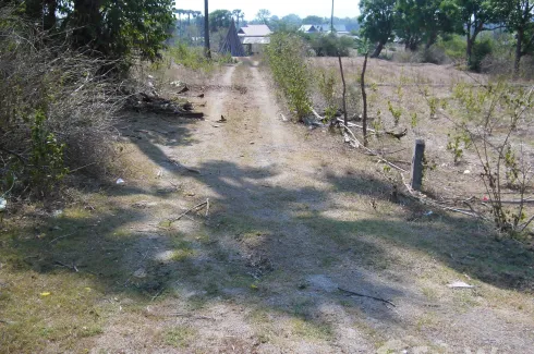Land for sale in Ban Luang, Chiang Mai