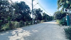 Land for sale in Rim Kok, Chiang Rai