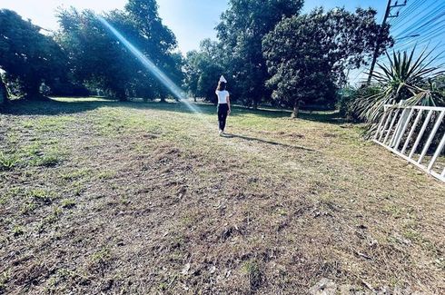 Land for sale in Rim Kok, Chiang Rai