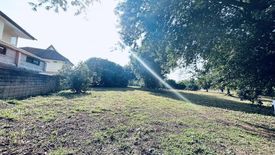 Land for sale in Rim Kok, Chiang Rai