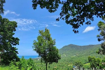 Land for sale in Ko Pha-ngan, Surat Thani