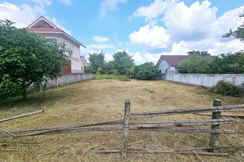 Land for sale in Mueang Kaeo, Chiang Mai