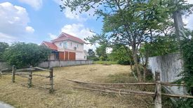 Land for sale in Mueang Kaeo, Chiang Mai