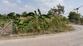 Land for sale in Bang Luang, Pathum Thani