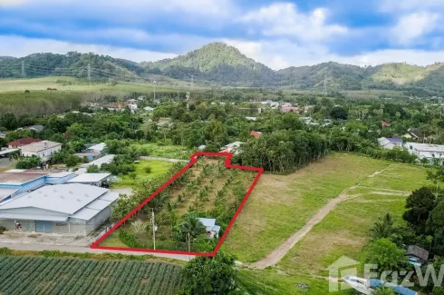 Land for sale in Si Sunthon, Phuket