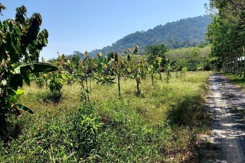 Land for sale in Pa Khlok, Phuket