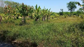 Land for sale in Pa Khlok, Phuket