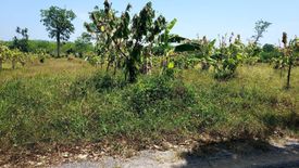 Land for sale in Pa Khlok, Phuket