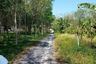 Land for sale in Pa Khlok, Phuket