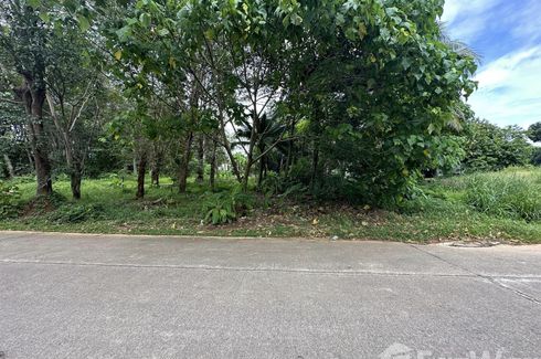 Land for sale in Si Sunthon, Phuket