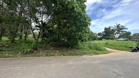 Land for sale in Si Sunthon, Phuket