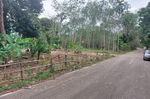 Land for sale in Pa Khlok, Phuket